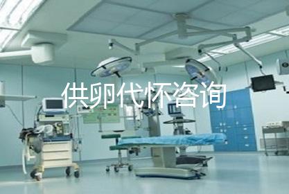 供卵代怀咨询